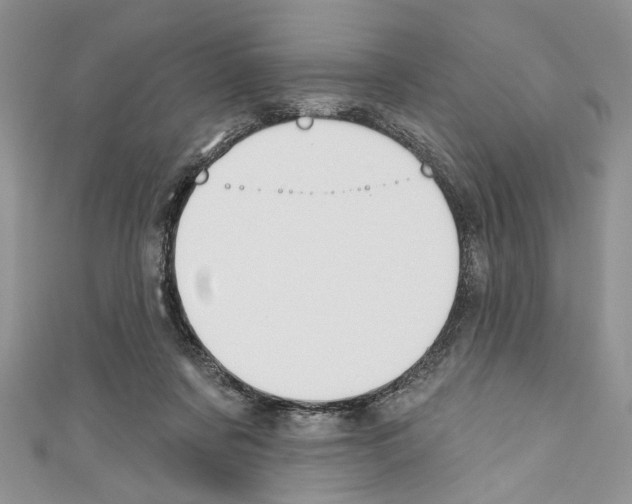X0000110740311200907271107