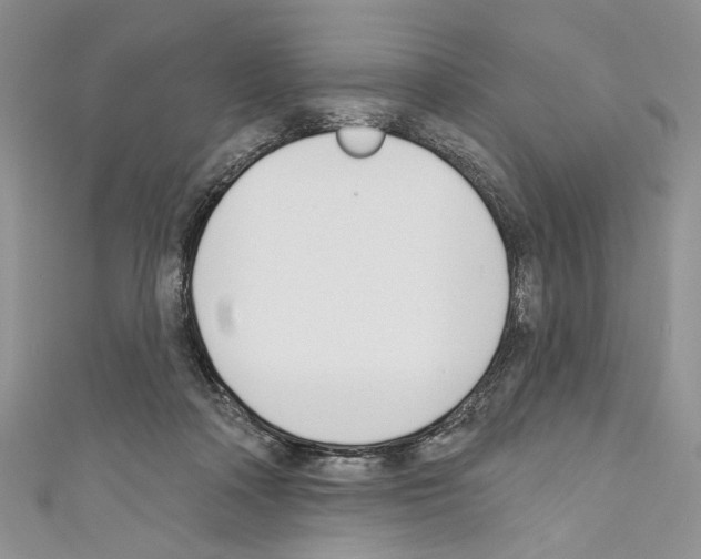 X0000110740314200907271107