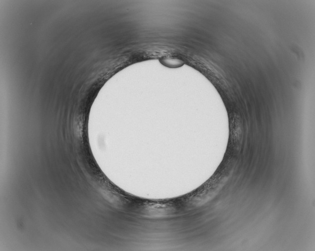 X0000110740315200907271107
