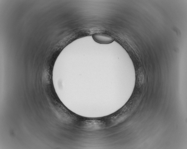 X0000110740316200907271107