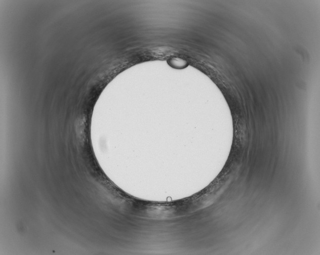 X0000110740319200907271107