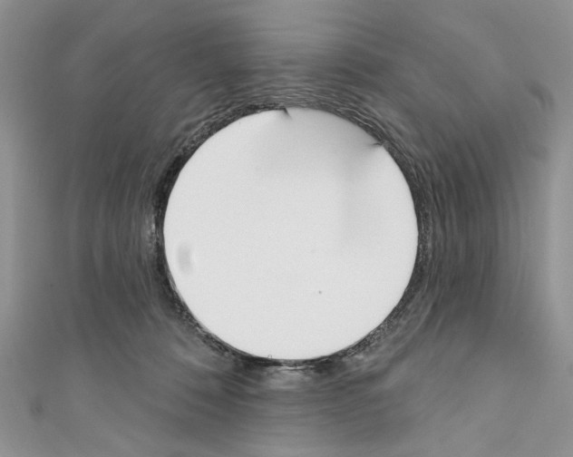 X0000110740320200907271107
