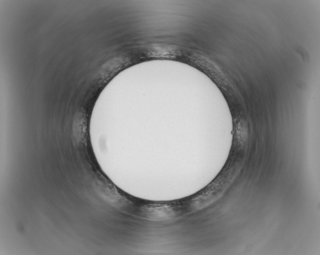 X0000110740322200907271107