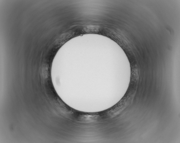X0000110740323200907271107