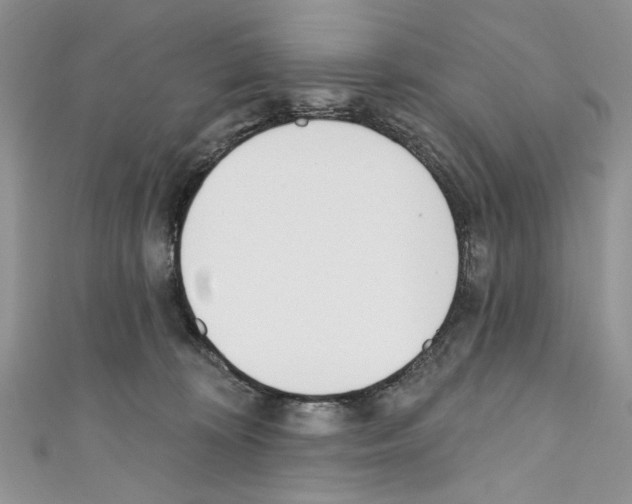 X0000110740324200907271107