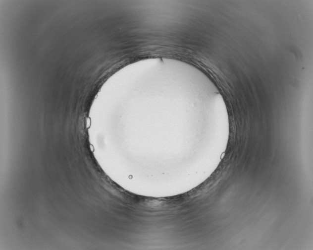 X0000110740325200907271107