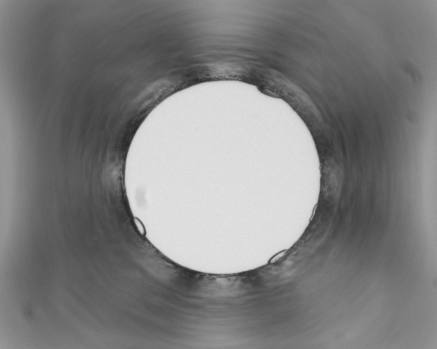 X0000110740329200907271107