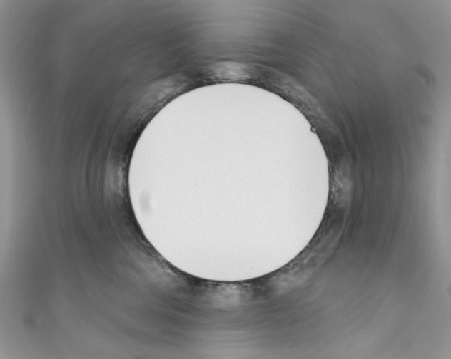 X0000110740330200907271107