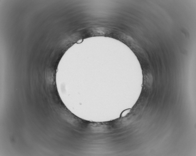 X0000110740331200907271107