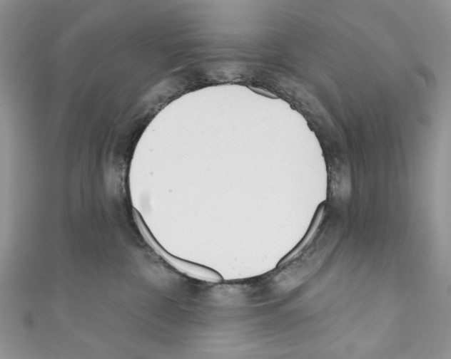 X0000110740332200907271107