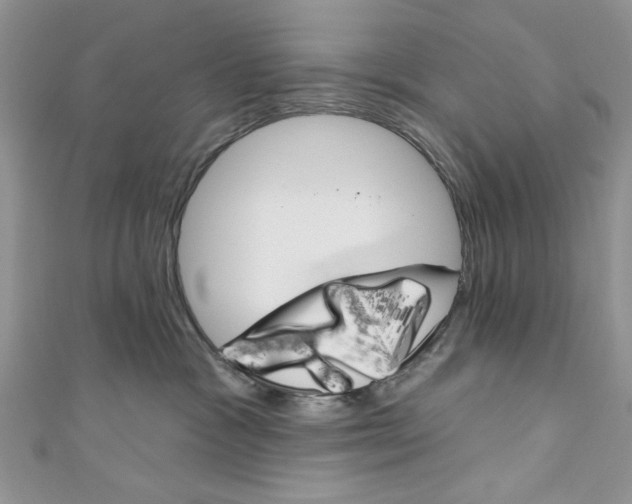 X0000110740333200907271107
