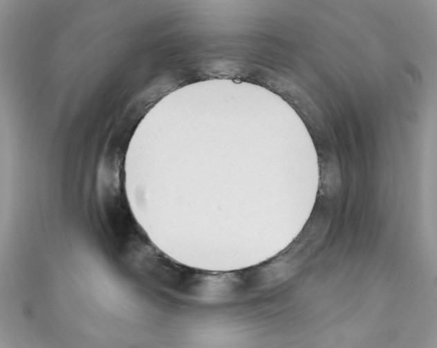 X0000110740334200907271107