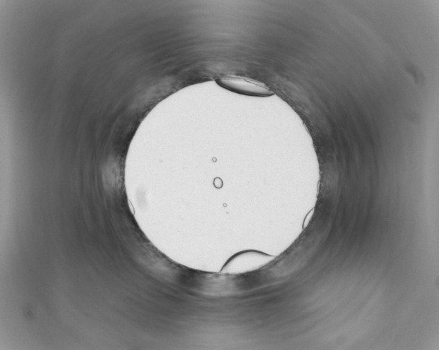 X0000110740335200907271106
