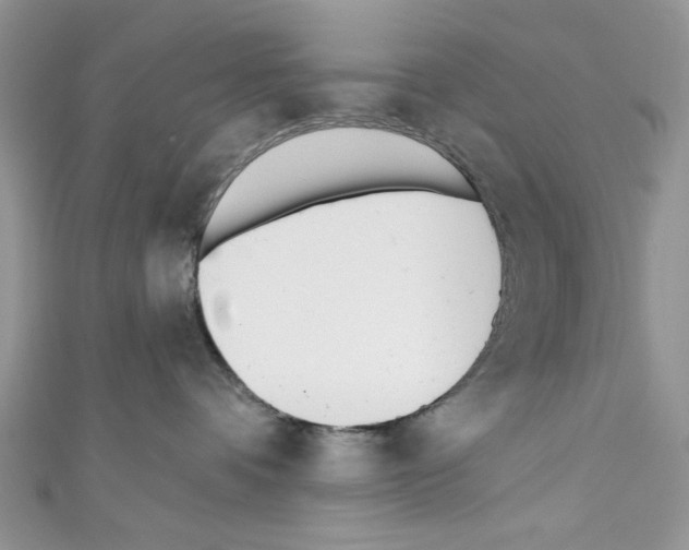 X0000110740336200907271106