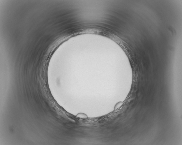 X0000110740337200907271106