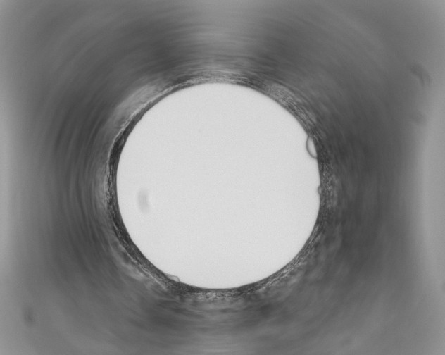 X0000110740338200907271106