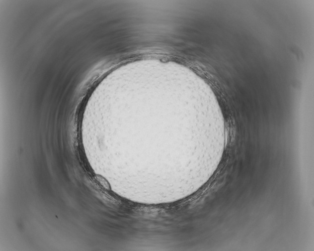 X0000110740339200907271106