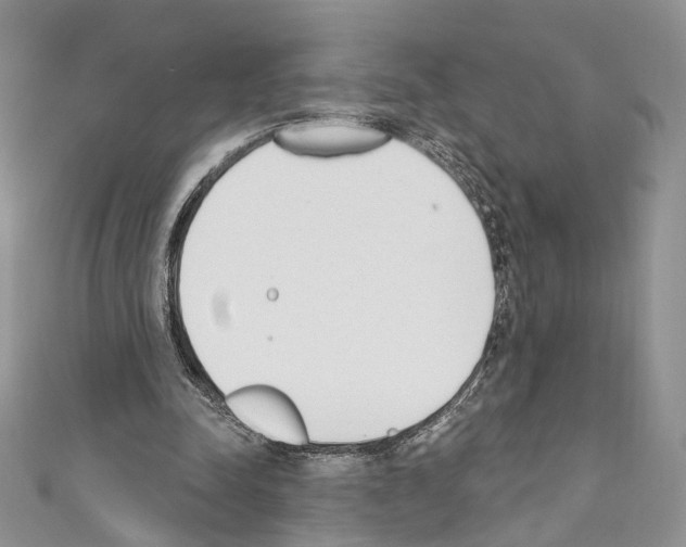 X0000110740342200907271106