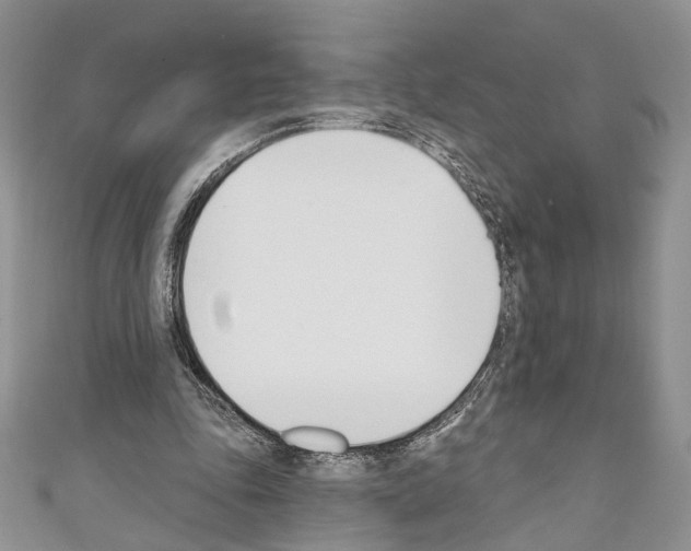 X0000110740343200907271106