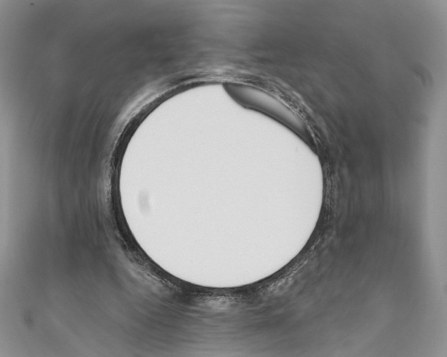 X0000110740344200907271106