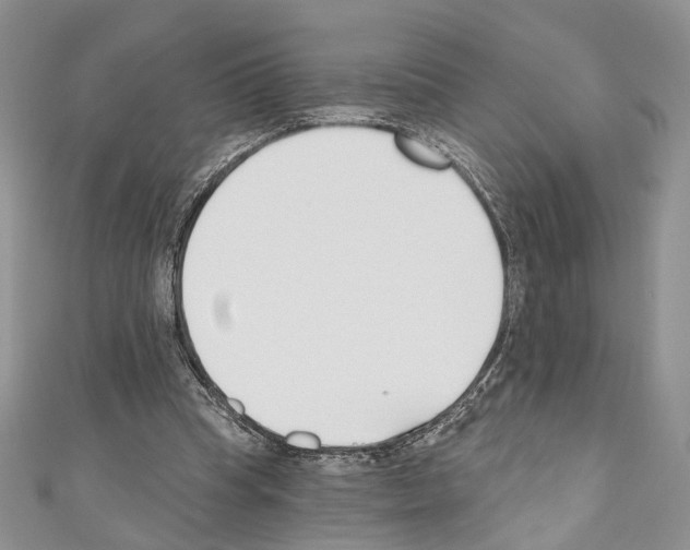 X0000110740345200907271106