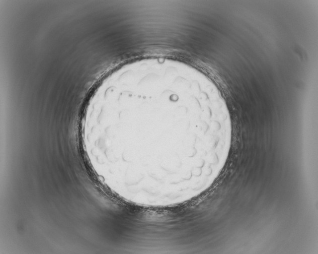 X0000110740346200907271106