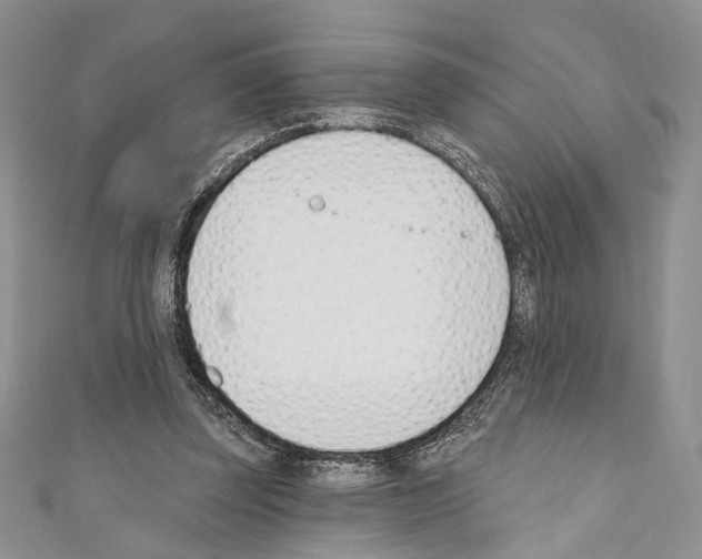X0000110740347200907271106