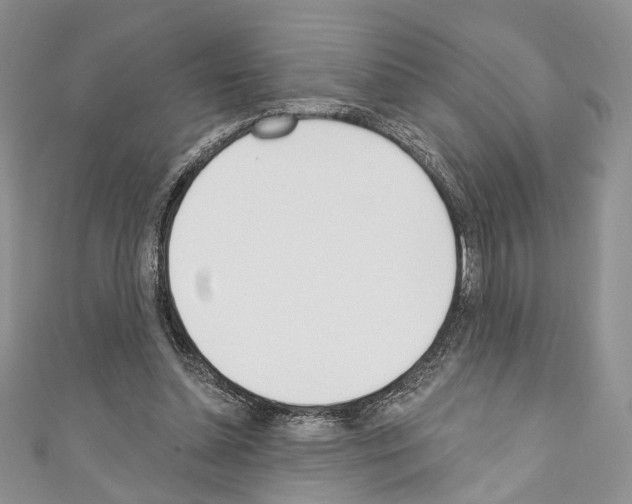 X0000110740348200907271106
