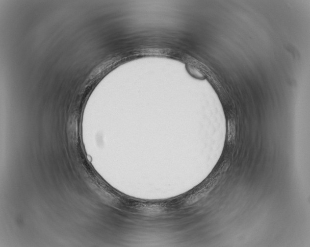 X0000110740349200907271106