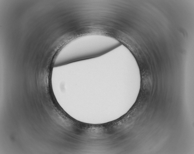 X0000110740350200907271106