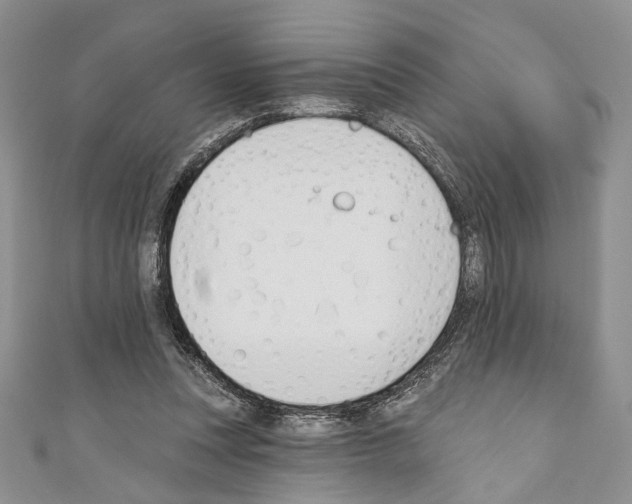 X0000110740351200907271106