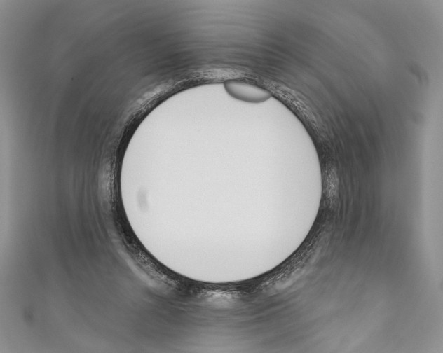 X0000110740352200907271106