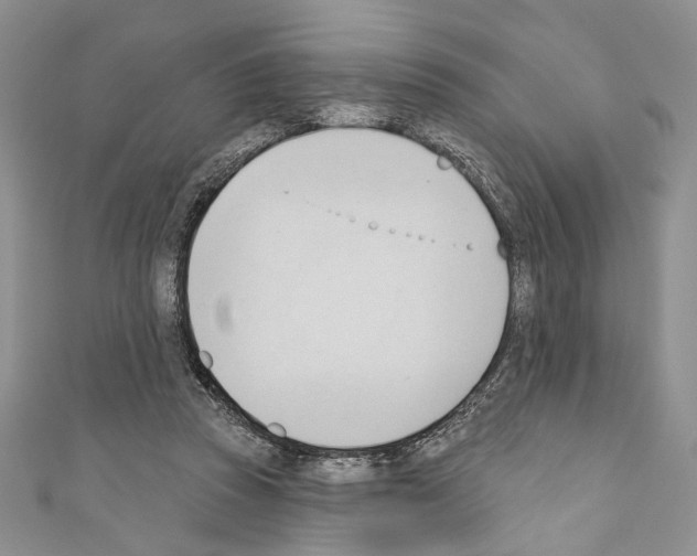 X0000110740353200907271106