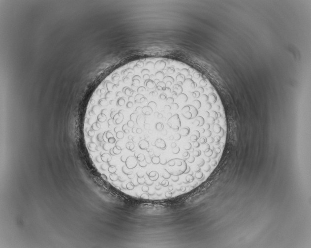 X0000110740354200907271106