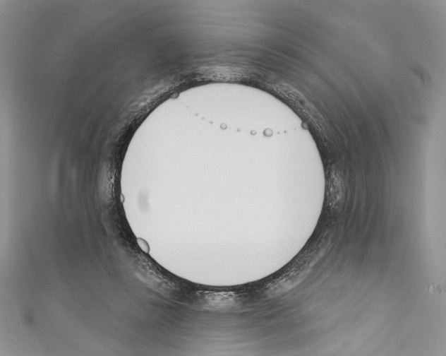 X0000110740355200907271106
