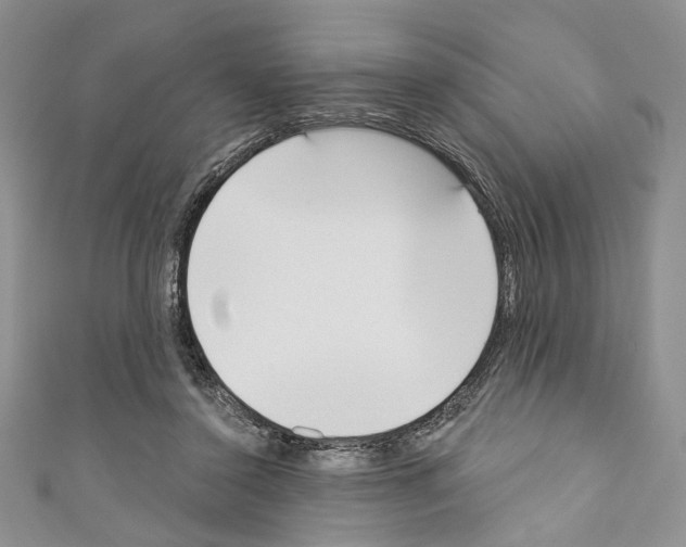 X0000110740356200907271106