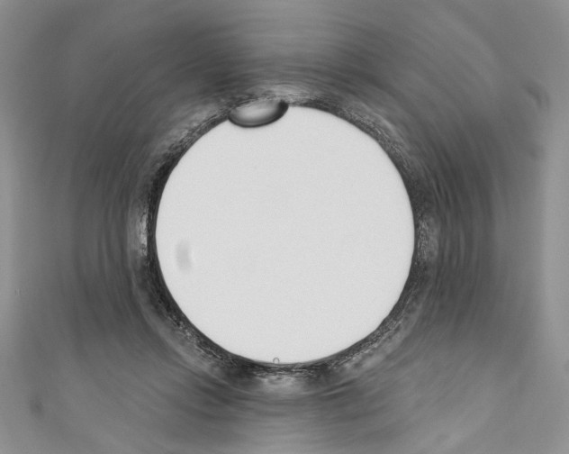 X0000110740358200907271106