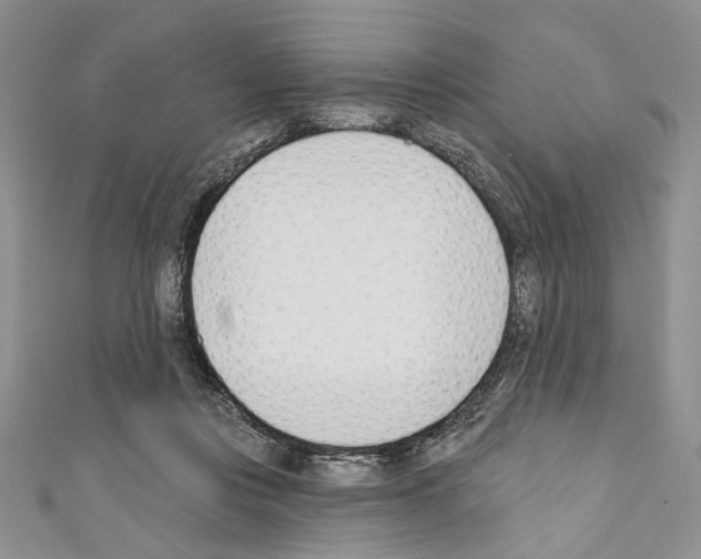 X0000110740359200907271106