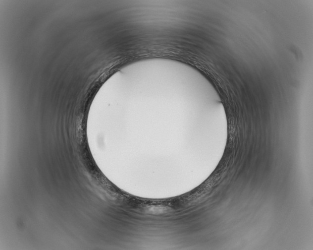 X0000110740360200907271106