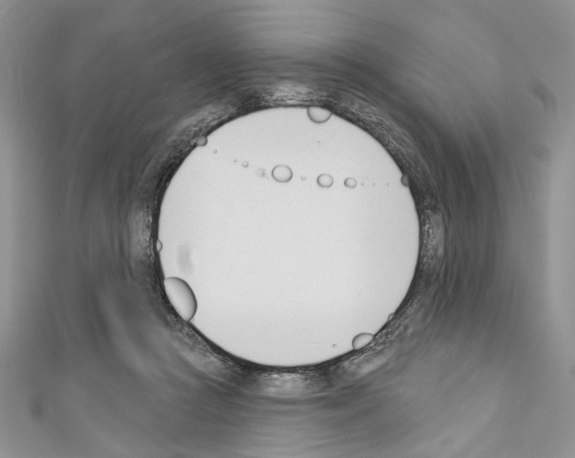 X0000110740361200907271106