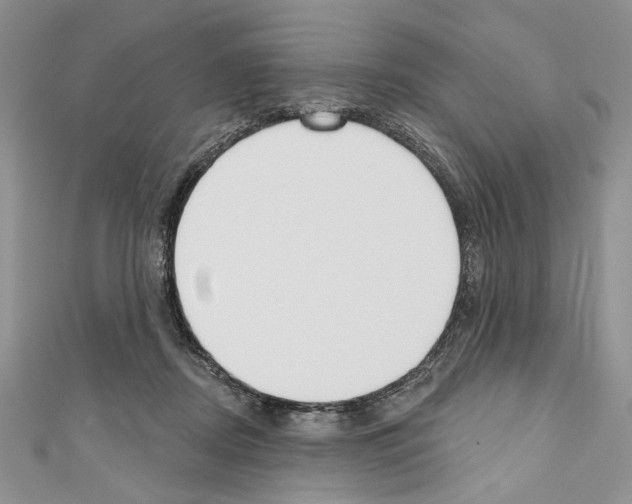 X0000110740362200907271106