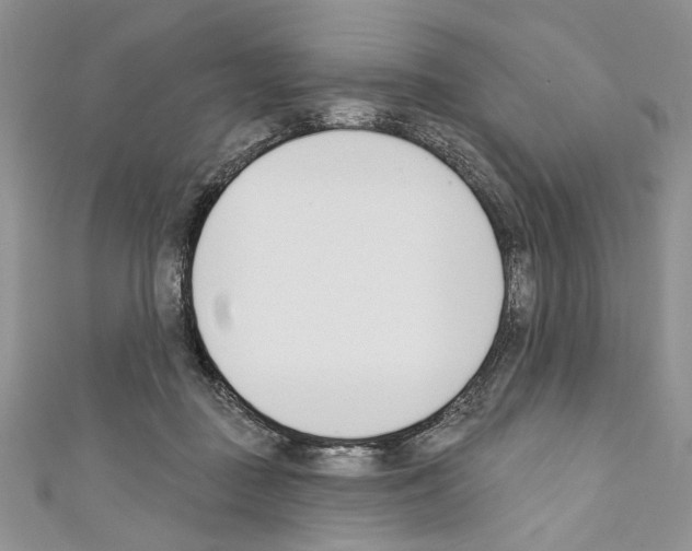 X0000110740363200907271106