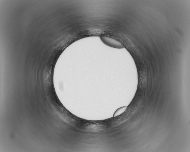 X0000110740364200907271106