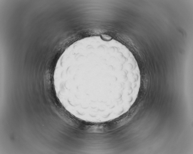 X0000110740366200907271106