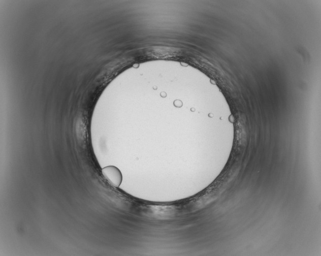 X0000110740371200907271106