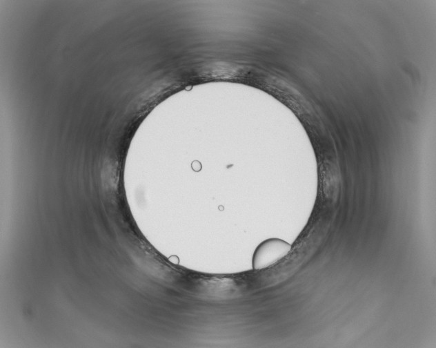 X0000110740374200907271106