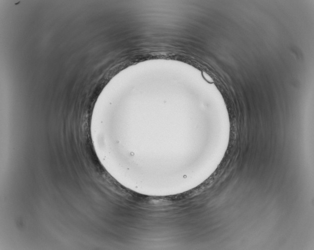 X0000110740376200907271106