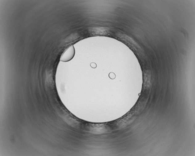 X0000110740377200907271106
