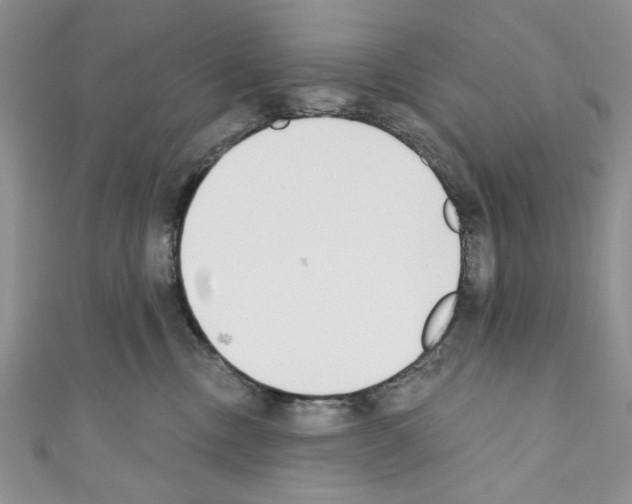 X0000110740378200907271106