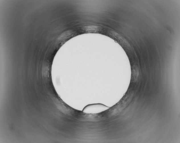 X0000110740379200907271106